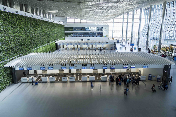 В аэропорту Симферополя 8 марта расцвели хризантемы на самой большой зеленой стене в Европе