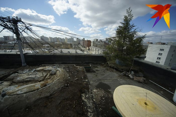 «Чтобы все восстановить, нужно 1,5 миллиона»: пенсионер из Екатеринбурга рассказал, как коммунальщики разрушили его сад на крыше